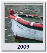 Le foto del 2009