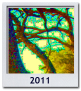 Le foto del 2011