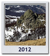 Le foto del 2012
