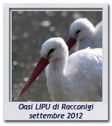 Click per ingrandire CRAL RL