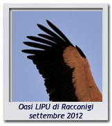 Click per ingrandire CRAL RL