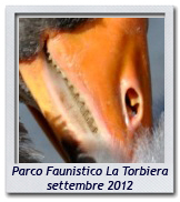 Click per ingrandire CRAL RL