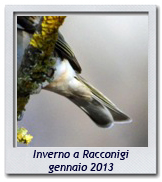 Click per ingrandire CRAL RL