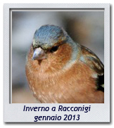Click per ingrandire CRAL RL