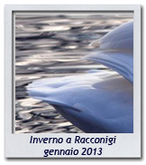 Click per ingrandire CRAL RL