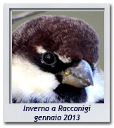 Click per ingrandire CRAL RL