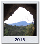 Le foto del 2015