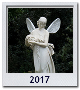Le foto del 2017
