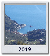 Le foto del 2019
